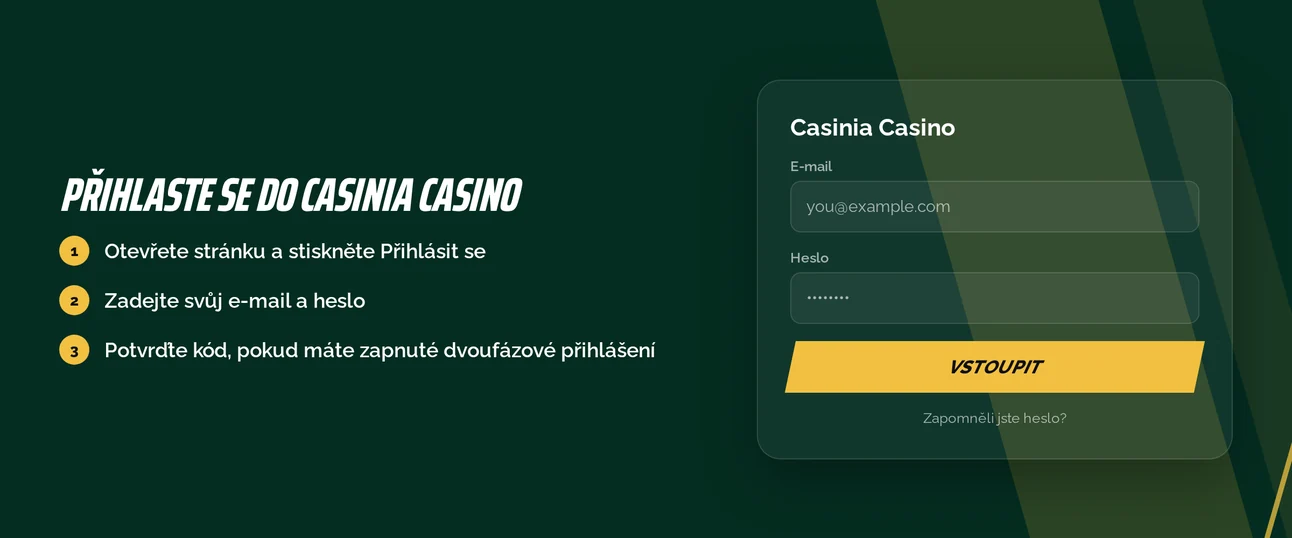 E-mailem a heslem vstupte.